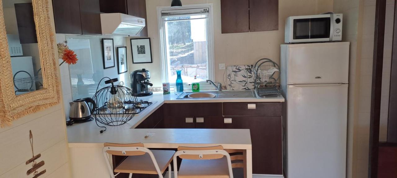 Mobilhome Entre Ciel Et Collines Rocbaron Экстерьер фото